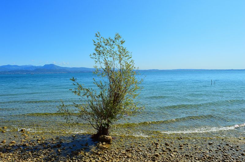 Padenghe - Ein malerisches Juwel am Gardasee